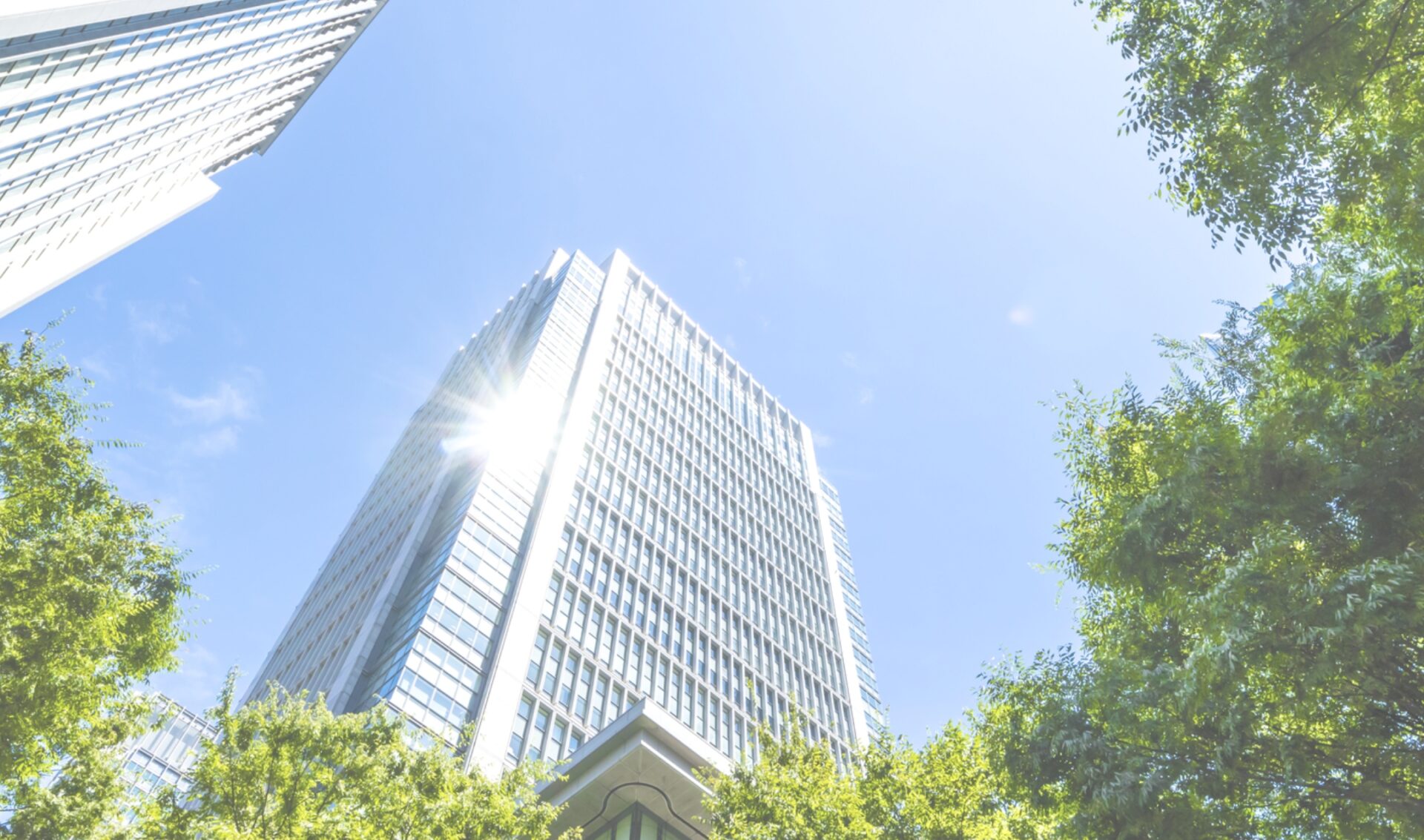 不動産総合コンサルティング <br>(権利調整総合サポート)